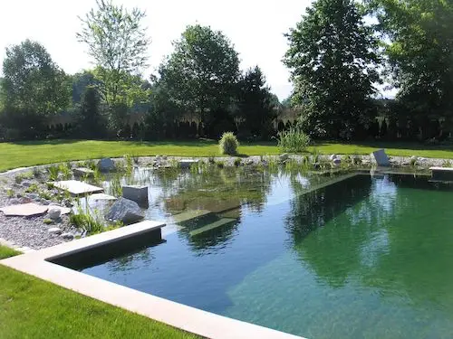 Construire une piscine naturelle sur-mesure en microciment