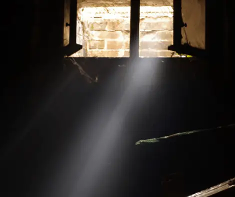 7 idées pour réaménager sa cave